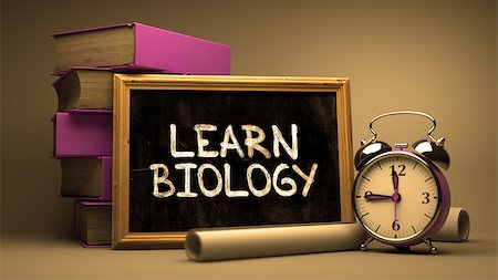 Learn Biology Handwritten by white Chalk on a Blackboard. Composition with Small Chalkboard and Stack of Books, Alarm Clock and Rolls of Paper on Blurred Background. Toned Image. Stock Photo - Budget Royalty-Free & Subscription, Code: 400-08295552