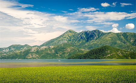 steffus (artist) - Skadar lake national park. Awesome untouched nature of Montenegro. Fotografie stock - Microstock e Abbonamento, Codice: 400-08296726