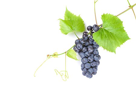 Bunch of red grapes with leaves. Isolated on white background with copy space Stock Photo - Budget Royalty-Free & Subscription, Code: 400-08296802