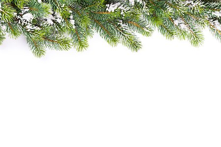 snow border - Christmas tree branch with snow. Isolated on white background with copy space Stock Photo - Budget Royalty-Free & Subscription, Code: 400-08296813