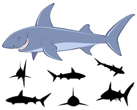 simsearch:400-05680840,k - Vector illustration of a shark and six sharks silhouettes Stock Photo - Budget Royalty-Free & Subscription, Code: 400-08297423