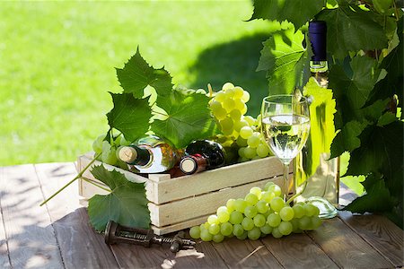 White and red wine bottle, glass, vine and bunch of grapes on garden table Stock Photo - Budget Royalty-Free & Subscription, Code: 400-08298072