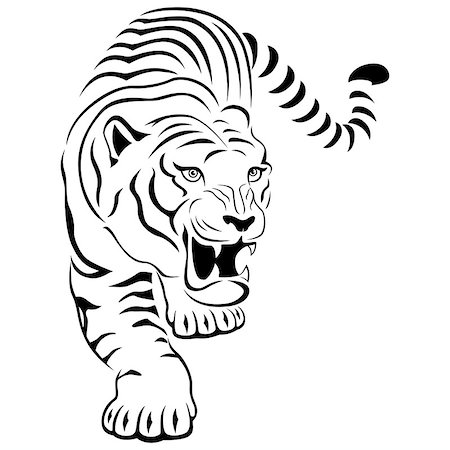 simsearch:400-05184314,k - Aggressive concealed large tiger on the hunting, hand drawing vector outline isolated on a white background Stockbilder - Microstock & Abonnement, Bildnummer: 400-08298782