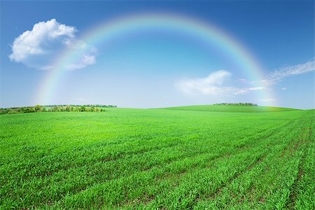 simsearch:400-07758113,k - Green grass field, blue sky with clouds and rainbow background Foto de stock - Super Valor sin royalties y Suscripción, Código: 400-08298843