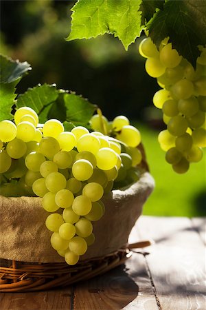 White grapes in basket on garden table Stock Photo - Budget Royalty-Free & Subscription, Code: 400-08299675