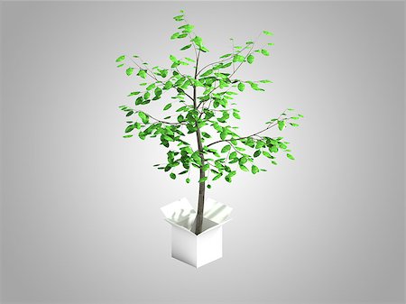 simsearch:400-05738922,k - A tree growing from a white cardboard box Stockbilder - Microstock & Abonnement, Bildnummer: 400-08290467