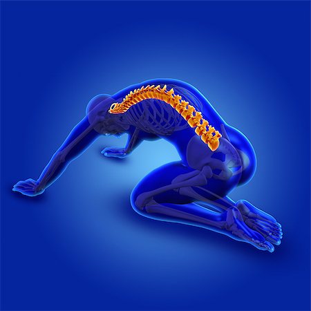 simsearch:400-08223112,k - 3D render of a blue male medical figure in kneeling position with spine highlighted Photographie de stock - Aubaine LD & Abonnement, Code: 400-08290963