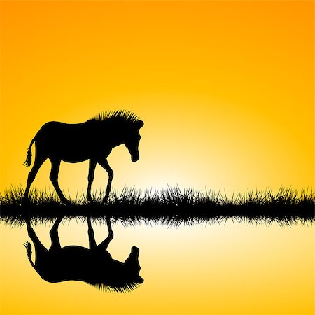 Landscape with zebra silhouette on sunset Stock Photo - Budget Royalty-Free & Subscription, Code: 400-08291142