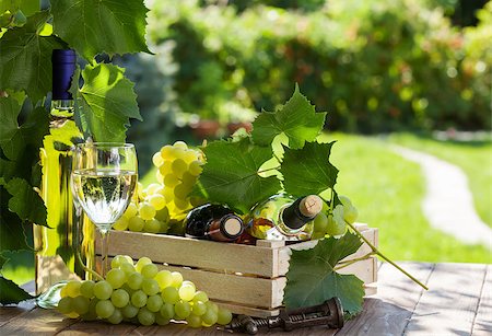 White and red wine bottle, glass, vine and bunch of grapes on garden table Stock Photo - Budget Royalty-Free & Subscription, Code: 400-08291395