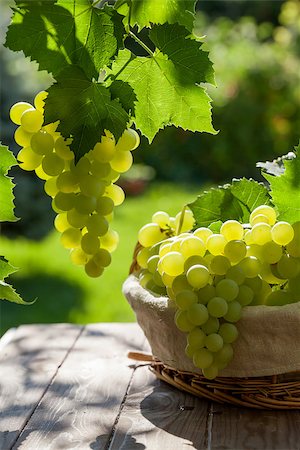 White grapes in basket on garden table Stock Photo - Budget Royalty-Free & Subscription, Code: 400-08291402