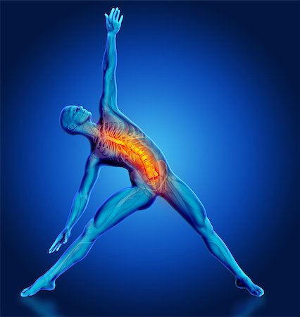 simsearch:400-08223112,k - 3D render of a male medical figure in yoga pose with spine highlighted Photographie de stock - Aubaine LD & Abonnement, Code: 400-08291992