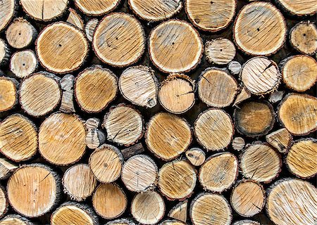 pine abstract - Background from dry wood logs stacked on each other Stock Photo - Budget Royalty-Free & Subscription, Code: 400-08292705