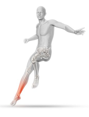 simsearch:400-08647675,k - 3D male medical figure with skeleton landing from a jump Stockbilder - Microstock & Abonnement, Bildnummer: 400-08292714