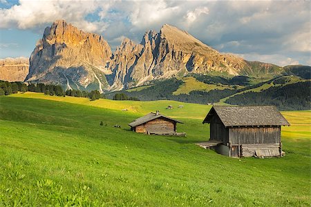 Langkofel Group at Seiser Alm, South Tyrol, Italy Photographie de stock - Aubaine LD & Abonnement, Code: 400-08293162