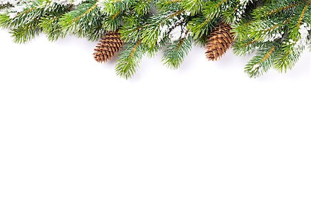 Christmas tree branch with snow and pine cones. Isolated on white background with copy space Foto de stock - Super Valor sin royalties y Suscripción, Código: 400-08293352