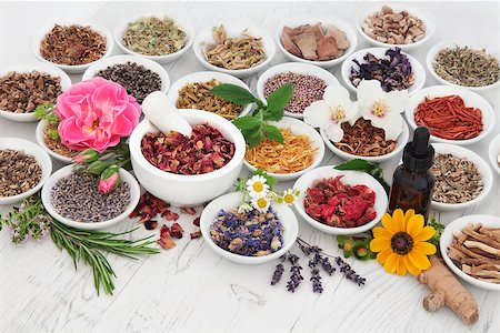 simsearch:400-06521200,k - Natural herb and flower selection used in herbal medicine with medicinal dropper bottle and mortar with pestle  over distressed wooden background. Stock Photo - Budget Royalty-Free & Subscription, Code: 400-08293912