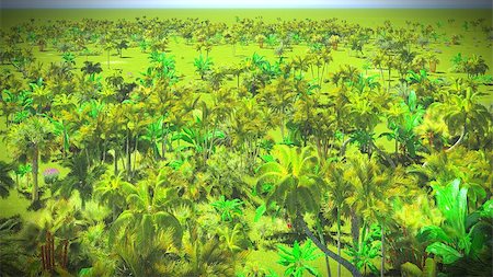 simsearch:400-08283888,k - Lush vegetation in the jungle Stock Photo - Budget Royalty-Free & Subscription, Code: 400-08301202