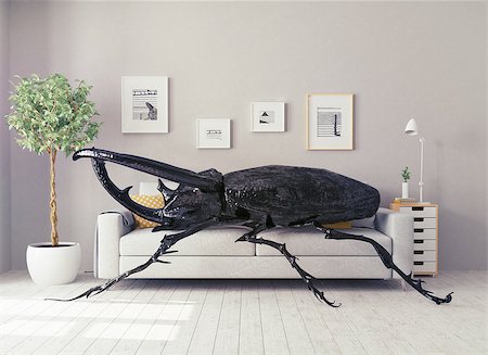 the beetle in the living room, lying on the sofa. 3d concept Foto de stock - Super Valor sin royalties y Suscripción, Código: 400-08301719