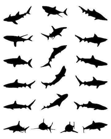 simsearch:400-08553170,k - Black silhouettes of sharks, vector Stock Photo - Budget Royalty-Free & Subscription, Code: 400-08302500