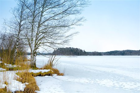 simsearch:400-07748171,k - An image of a winter scenery at the Osterseen in Bavaria Germany Foto de stock - Super Valor sin royalties y Suscripción, Código: 400-08303694