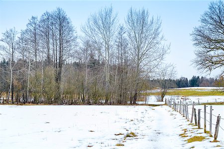 simsearch:400-07748171,k - An image of a winter scenery at the Osterseen in Bavaria Germany Foto de stock - Super Valor sin royalties y Suscripción, Código: 400-08303695