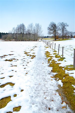 simsearch:400-07748171,k - An image of a winter scenery at the Osterseen in Bavaria Germany Foto de stock - Super Valor sin royalties y Suscripción, Código: 400-08303693
