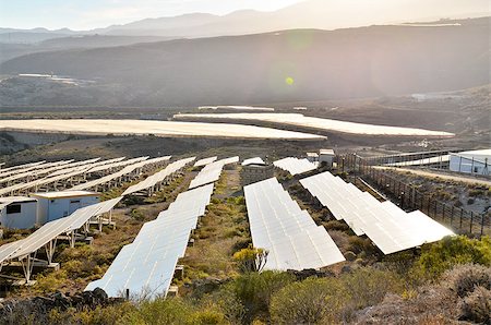 simsearch:400-07115437,k - Renewable Energy Concept Solar Panels Field at Sunset Photographie de stock - Aubaine LD & Abonnement, Code: 400-08314216