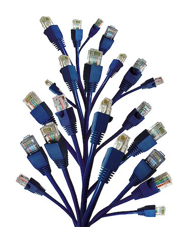segregation - Concept image with Network Connectors as a Plant Stock Photo - Budget Royalty-Free & Subscription, Code: 400-08314532