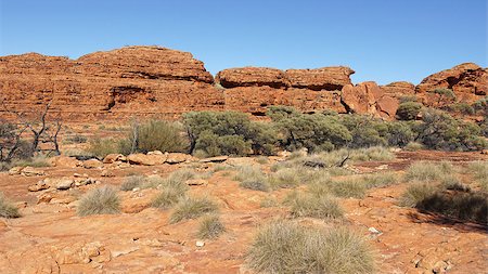 Landscape of the Kings Canyon, Outback of Australia Stock Photo - Budget Royalty-Free & Subscription, Code: 400-08314569