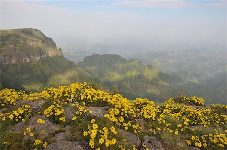 View of landscape on Simien mountains park, Ethiopia. Foto de stock - Royalty-Free Super Valor e Assinatura, Número: 400-08314939