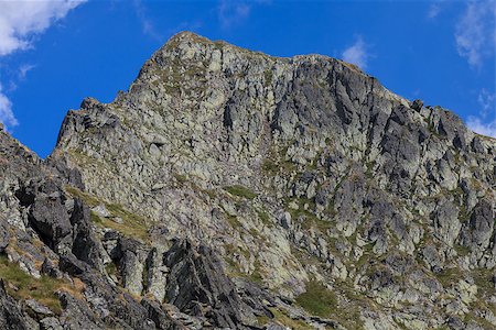 simsearch:400-08111064,k - The second highest mountain top (2535 m) of Fagaras Mountains, Romania Foto de stock - Super Valor sin royalties y Suscripción, Código: 400-08315345