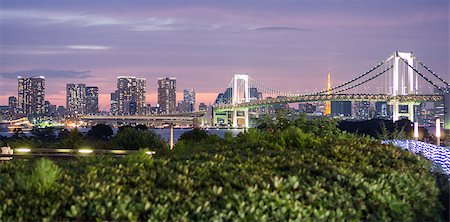 simsearch:400-07261399,k - Night view of Tokyo Skyline with Rainbow bridge with office buildings Fotografie stock - Microstock e Abbonamento, Codice: 400-08315510