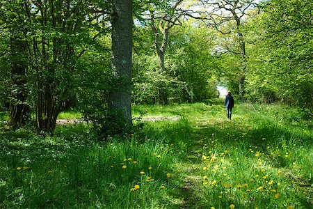 Recreational walk at a green footpath at spring. Foto de stock - Super Valor sin royalties y Suscripción, Código: 400-08315513