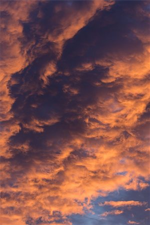 skylight (artist) - Brilliant orange colored clouds during a morning sunrise Foto de stock - Super Valor sin royalties y Suscripción, Código: 400-08315660