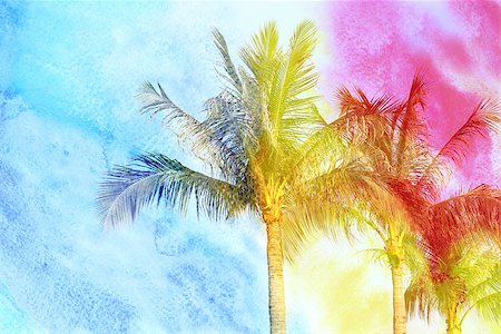 Beautiful watercolor palm trees in Asia on the tropical island Stock Photo - Budget Royalty-Free & Subscription, Code: 400-08315932