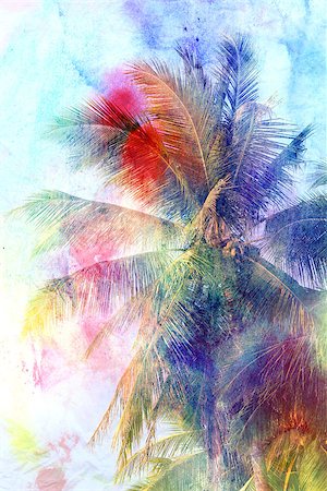 Beautiful watercolor palm trees in Asia on the tropical island Stock Photo - Budget Royalty-Free & Subscription, Code: 400-08315933