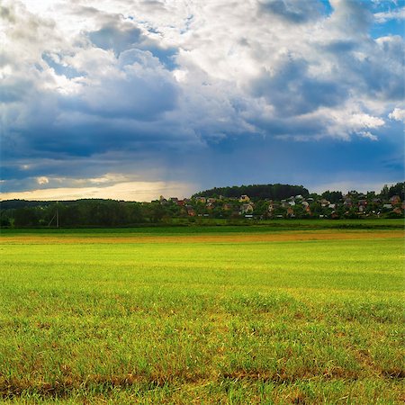simsearch:400-07481137,k - Rural landscape with a field of green grass and dramatic evening sky. Photographie de stock - Aubaine LD & Abonnement, Code: 400-08316308