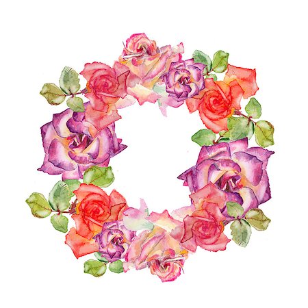 peony art - Colorful roses wreath  watercolor illustration on a white background Stock Photo - Budget Royalty-Free & Subscription, Code: 400-08317281