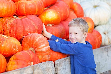 simsearch:400-07211170,k - positive smiling boy choosing pumpkin at fall festival, pumpkin patch or farmers market Photographie de stock - Aubaine LD & Abonnement, Code: 400-08318293