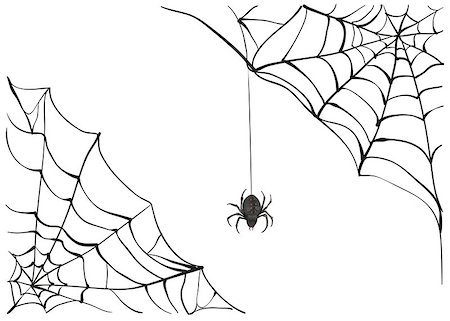 simsearch:400-08200203,k - Spiderweb. Big black spider web. Black scary spider of web. Poison spider. Illustration in vector format Stock Photo - Budget Royalty-Free & Subscription, Code: 400-08318398