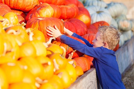 simsearch:400-07211170,k - little boy choosing pumpkin at pumpkin patch Photographie de stock - Aubaine LD & Abonnement, Code: 400-08318737