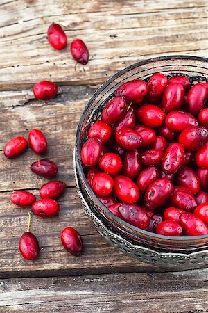 Ripe berry of the dogwood in an old vase on wooden background Stock Photo - Budget Royalty-Free & Subscription, Code: 400-08318805