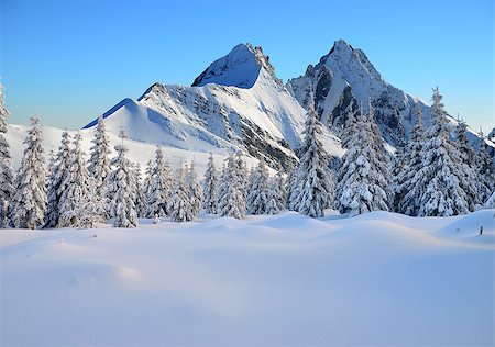 studio023 (artist) - Snow-covered landscape with trees and mountains in the background Stockbilder - Microstock & Abonnement, Bildnummer: 400-08319379