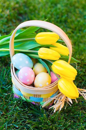 easter basket not people - easter and spring concept, basket full of colorful eggs and yellow bright tulips on the grass Foto de stock - Super Valor sin royalties y Suscripción, Código: 400-08319684
