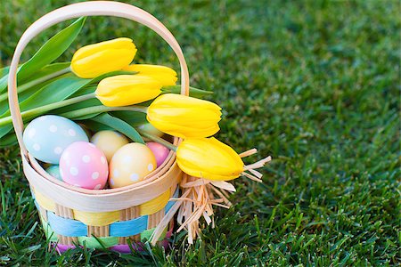 easter basket not people - easter and spring concept, basket full of colorful eggs and yellow bright tulips on the grass Foto de stock - Super Valor sin royalties y Suscripción, Código: 400-08319686