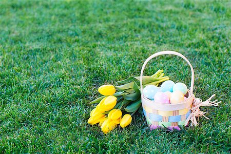 easter basket not people - easter and spring concept, basket full of colorful eggs and yellow bright tulips on the grass Foto de stock - Super Valor sin royalties y Suscripción, Código: 400-08319687
