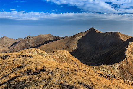 simsearch:400-07302061,k - Landscape in Charpathian Mountains of Moldoveanu, the highest summits of Romania (Moldoveanu 2544 m) Foto de stock - Royalty-Free Super Valor e Assinatura, Número: 400-08319875