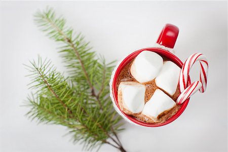 close-up of cup with hot cocoa, marshmallows and candy canes with christmas tree sprig Stock Photo - Budget Royalty-Free & Subscription, Code: 400-08313894