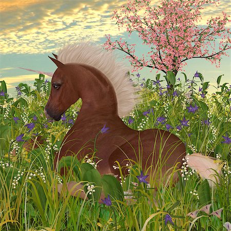 simsearch:400-06861765,k - A Belgian unicorn foal lies down in a meadow full of beautiful spring flowers. Photographie de stock - Aubaine LD & Abonnement, Code: 400-08334040