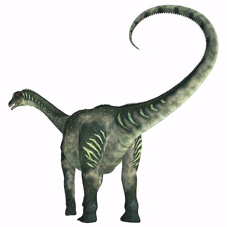 simsearch:400-07039388,k - Antarctosaurus was a sauropod herbivore dinosaur that lived during the Cretaceous Period in South America. Stockbilder - Microstock & Abonnement, Bildnummer: 400-08334059